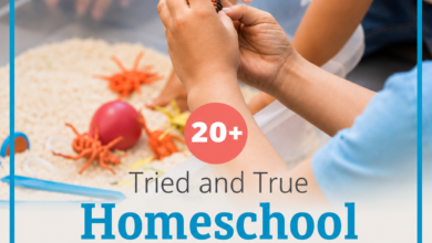Homeschool Activities Near Me