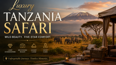Luxury Tanzania Safari